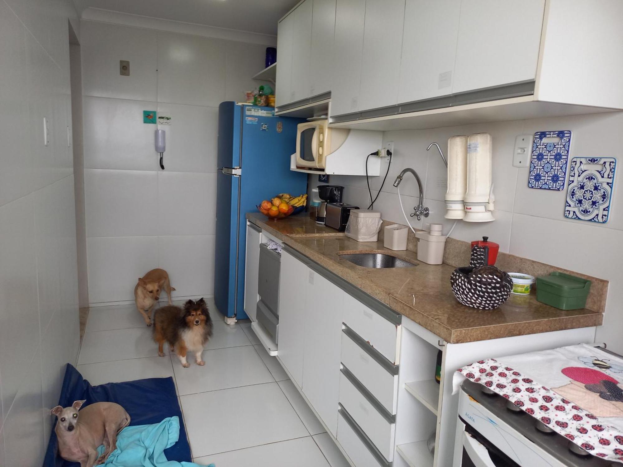 Camping Aconchegante